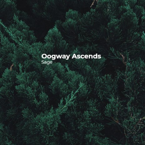 Oogway Ascends | Boomplay Music