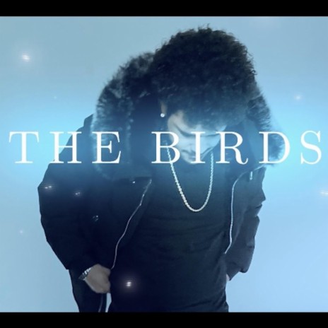 The Birds | Boomplay Music