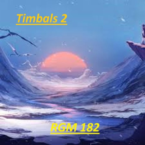 TIMBALS 2 | Boomplay Music