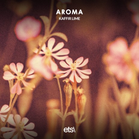Aroma (8D Audio)