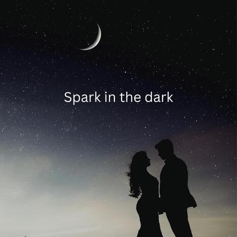 Spark in the Dark | Boomplay Music