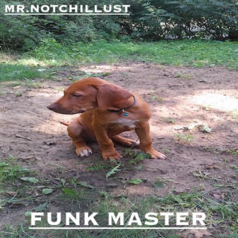 FUNK MASTER | Boomplay Music