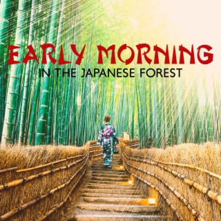 Early Morning in the Japanese Forest: Oriental Ballads for Relaxation & Sleep