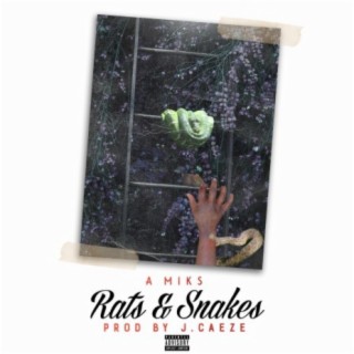 Rats & Snakes