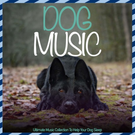 Garden Nap ft. Dog Music Dreams | Boomplay Music