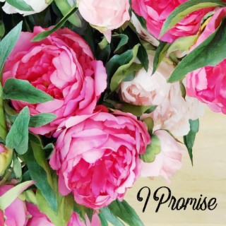 I Promise lyrics | Boomplay Music