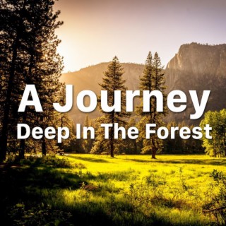A Journey Deep In The Forest