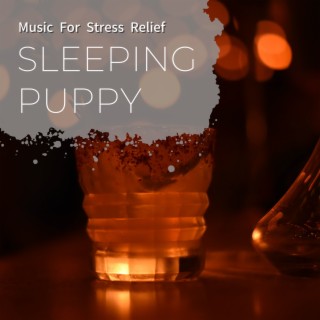 Music for Stress Relief