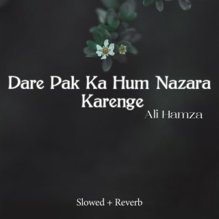 Dare Pak Ka Hum Nazara Karenge Lofi