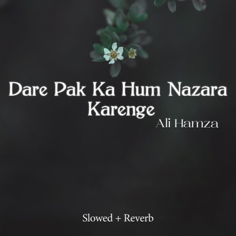 Dare Pak Ka Hum Nazara Karenge Lofi | Boomplay Music