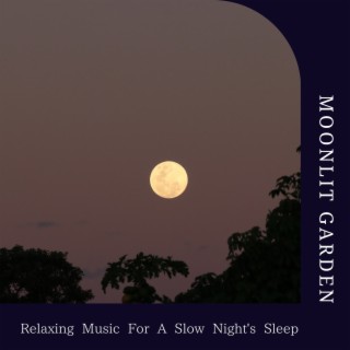 Relaxing Music for a Slow Night's Sleep