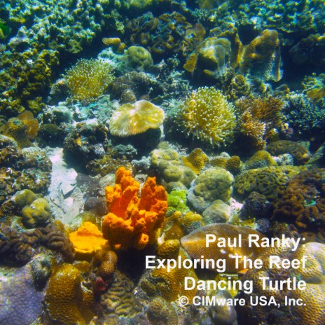 Exploring The Reef ft. Paul Ranky | Boomplay Music