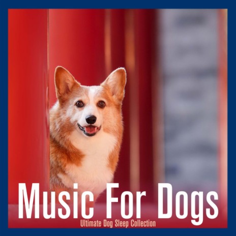 Gentle Strings ft. Dog Music Dreams | Boomplay Music