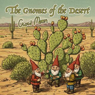 The Gnomes of the Desert