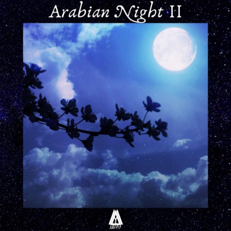 Arabian Night II | Boomplay Music
