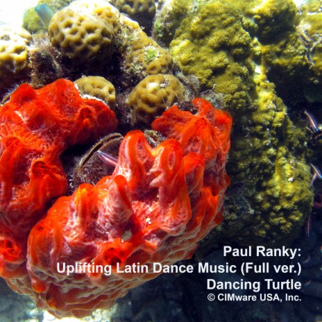 Uplifting Latin Dance Music FullVersion ft. Paul Ranky | Boomplay Music