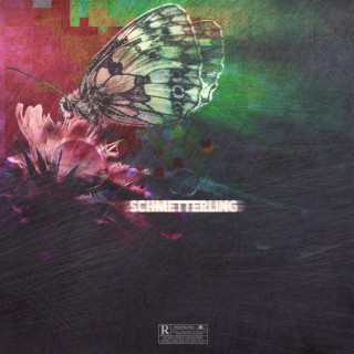 Schmetterling lyrics | Boomplay Music