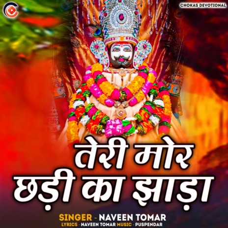 Teri Mor Chhadi Ka Jhada | Boomplay Music