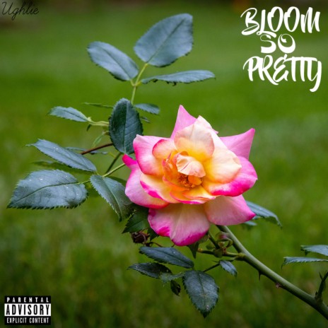 bloom so pretty | Boomplay Music