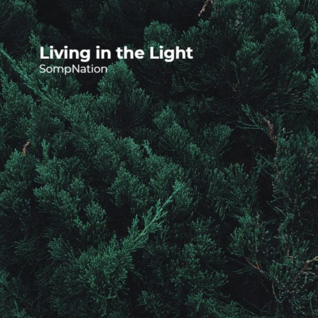 Living in the Light | Boomplay Music