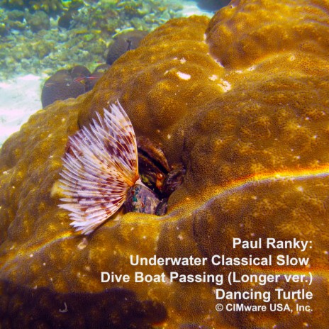 Underwater Classical Slow Dive Boat Passing LongerVer ft. Paul Ranky | Boomplay Music