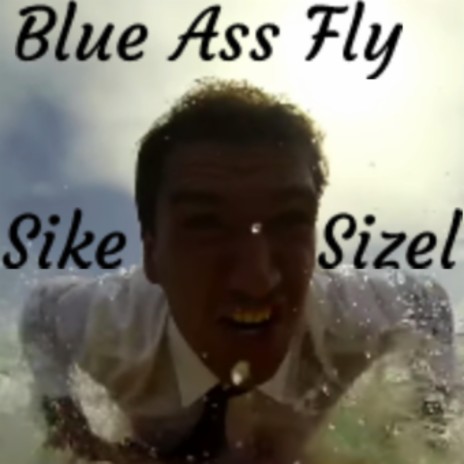 Blue Ass Fly