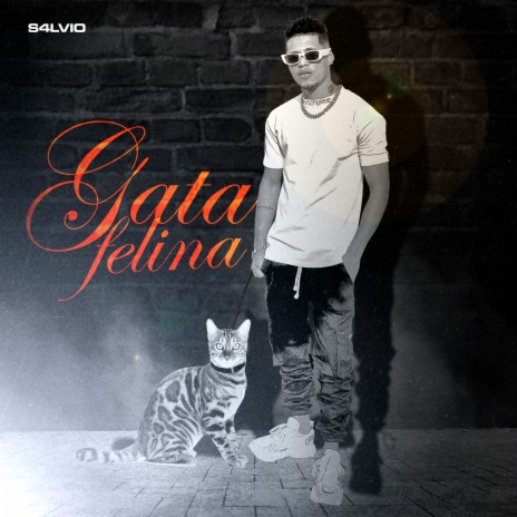 Gata Felina | Boomplay Music