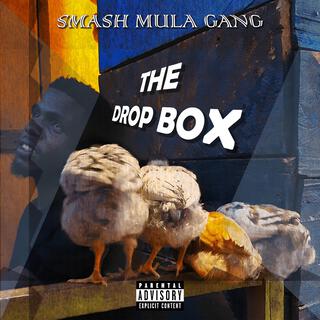 The Drop Box