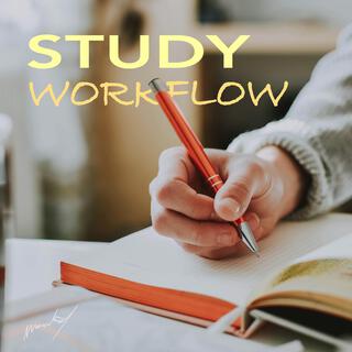 study workflow