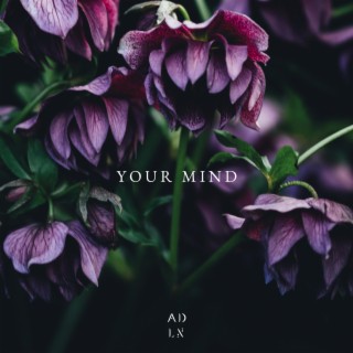 Your Mind