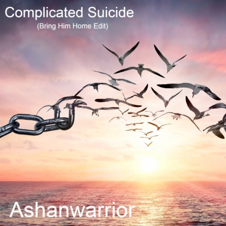 Complicated Suicide (Bring Him Home Edit) | Boomplay Music