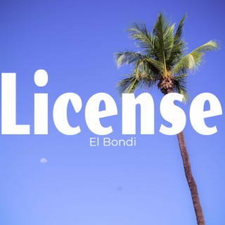 License lyrics | Boomplay Music