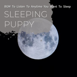 Bgm to Listen to Anytime You Want to Sleep