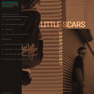 LITTLE SCARS