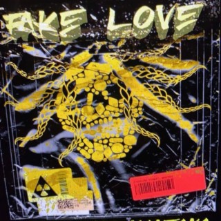 Fake Love