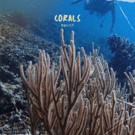 Corals | Boomplay Music