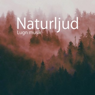 Naturljud: Lugn musik, Avslappningsövningar för stress