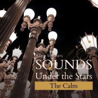 Sounds Under the Stars - The Calm