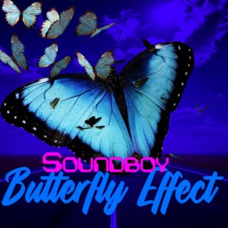 Butterfly Effect