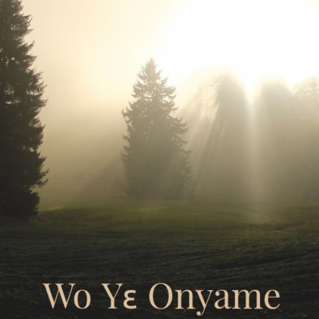 Wo Yɛ Onyame | Boomplay Music