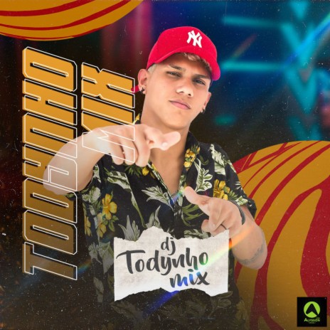 Dj Todynho Mix - Ela Taca o Xerecão ft. Alysson CDs Oficial MP3 Download &  Lyrics