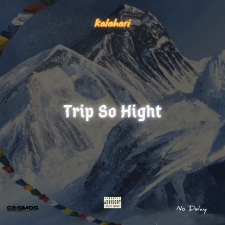 Trip so High | Boomplay Music