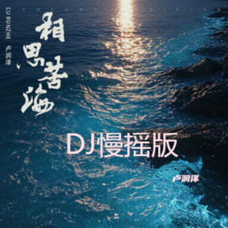 相思苦海(DJ慢摇版) lyrics | Boomplay Music