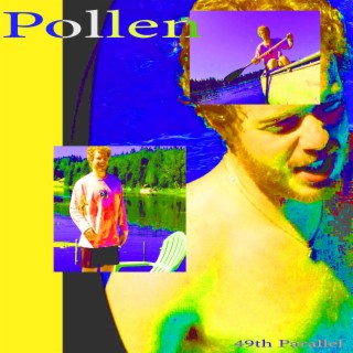 Pollen