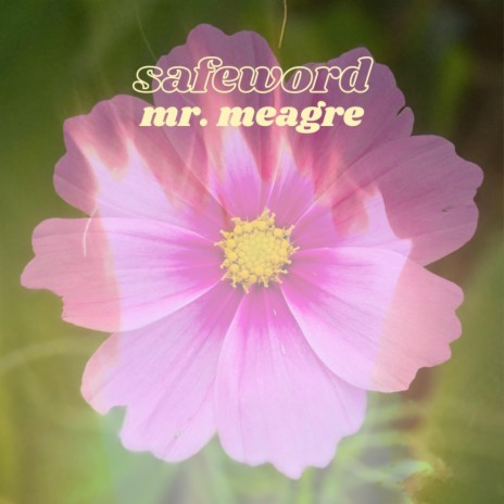 Mr. Meagre