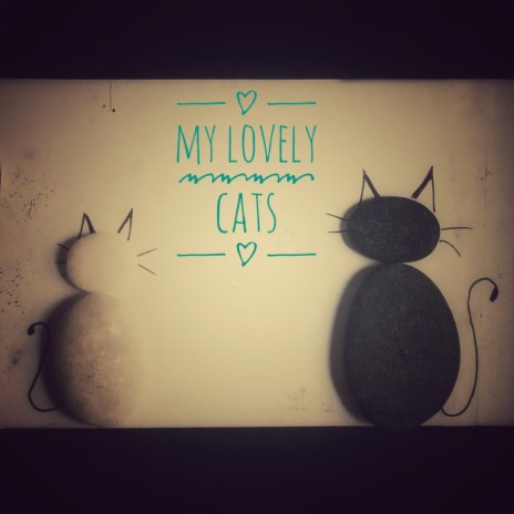 My lovely cats | Boomplay Music
