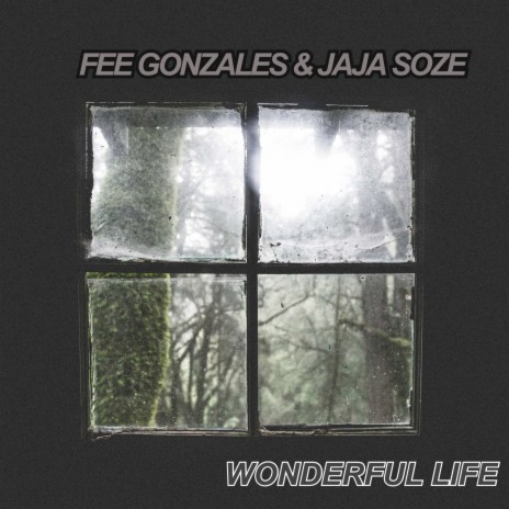 Wonderful Life ft. fee gonzales | Boomplay Music