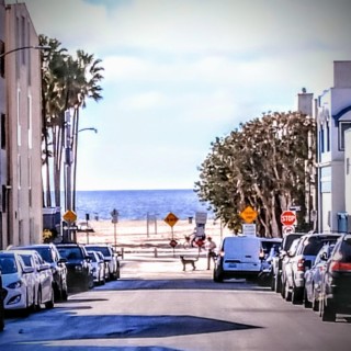 Venice, CA