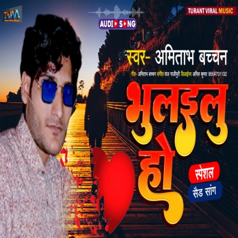 Bhulailu Ho | Boomplay Music