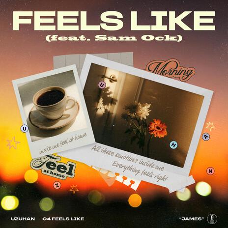 Feels Like ft. Sam Ock | Boomplay Music